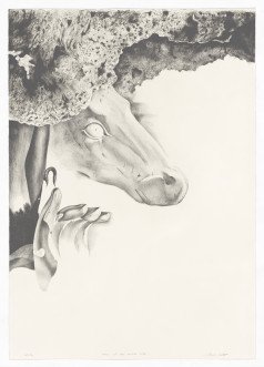 WALLS OF THE HEALING CAVE- Lithograph. Edition size: 20. Image size: 81cm × 70.5cm. Paper size: 100cm × 70.5cm