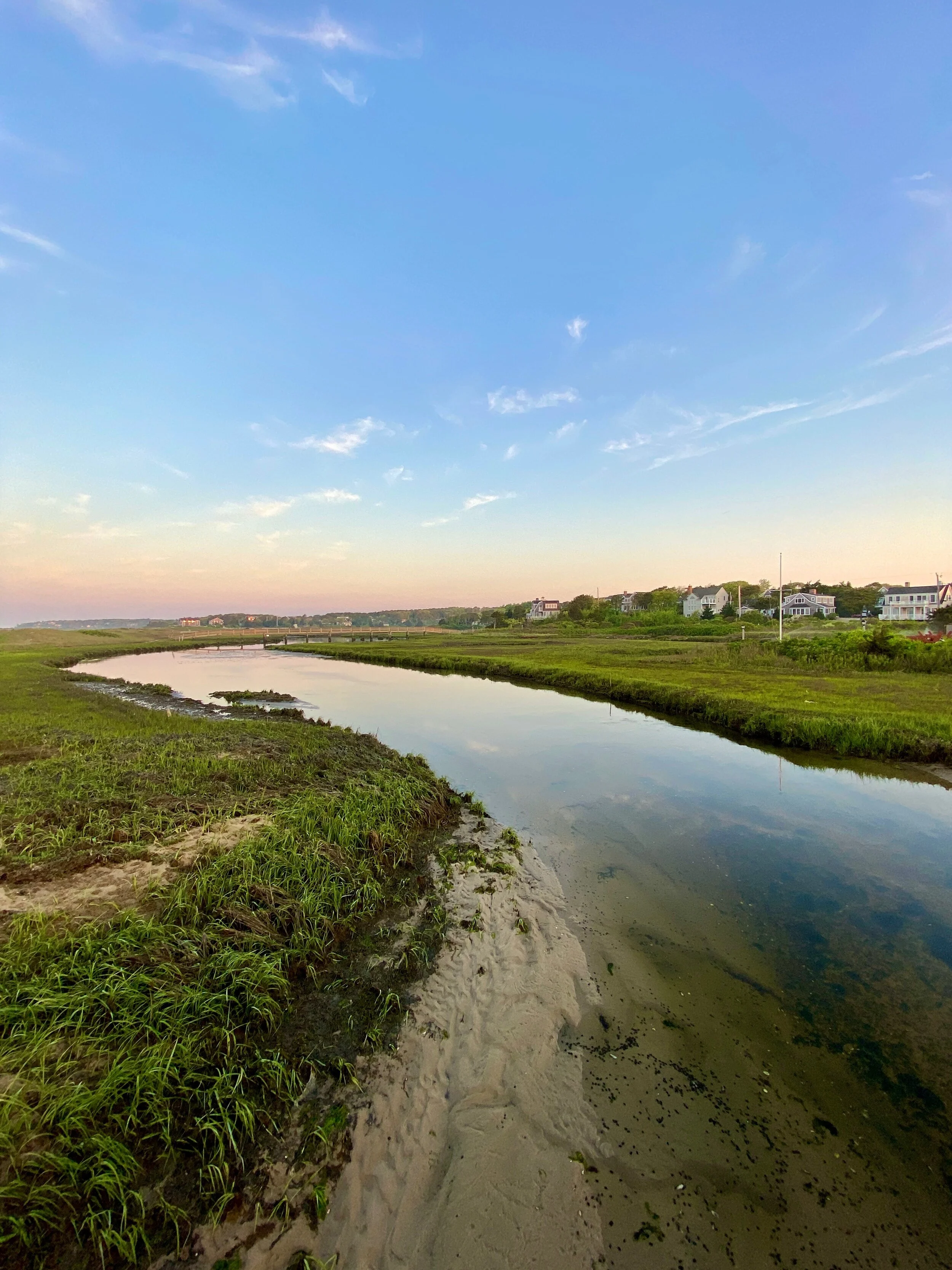 Reference photo for 'high tide i."