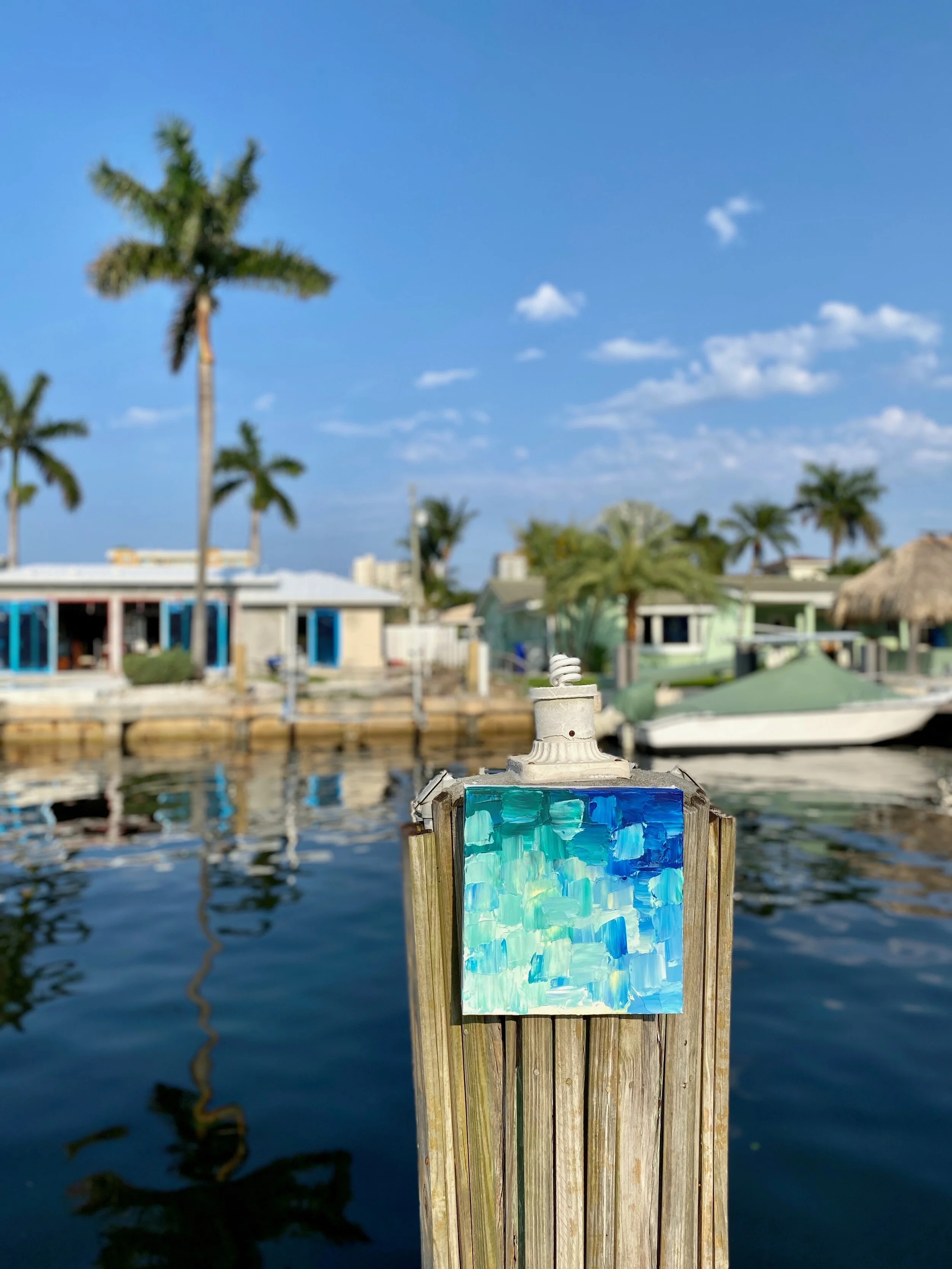 texture of the tropics_.jpeg