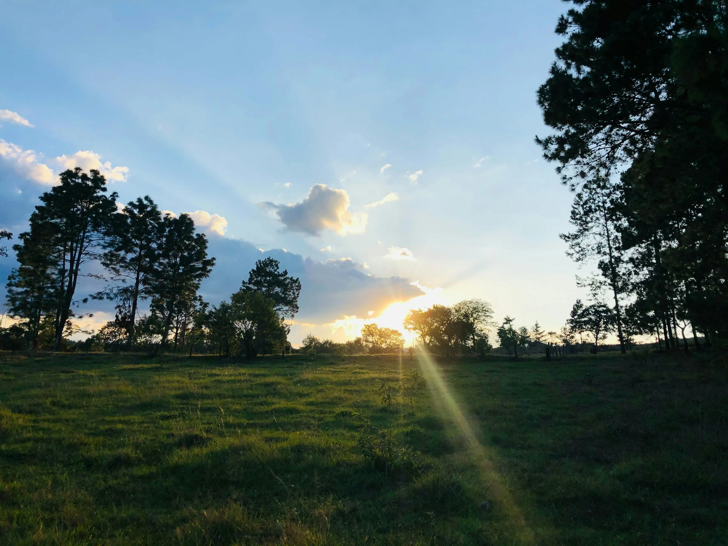 Golden sunrise breaking through clouds, symbolizing hope and healing after betrayal trauma on the recovery journey
