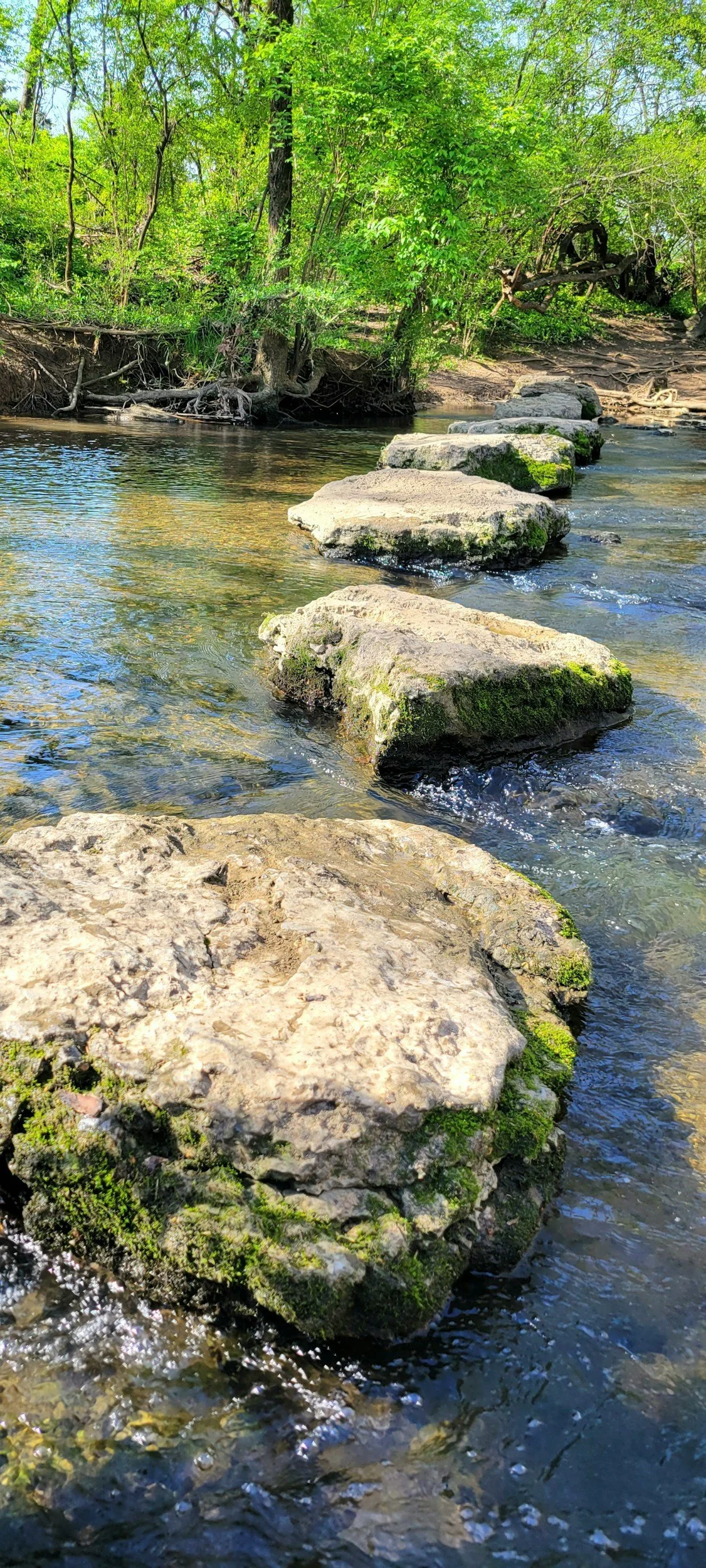 Stepping stones across water representing the phased healing journey of partner specialist therapy with Becky Ruff APSATS certified therapist in Utah and Idaho