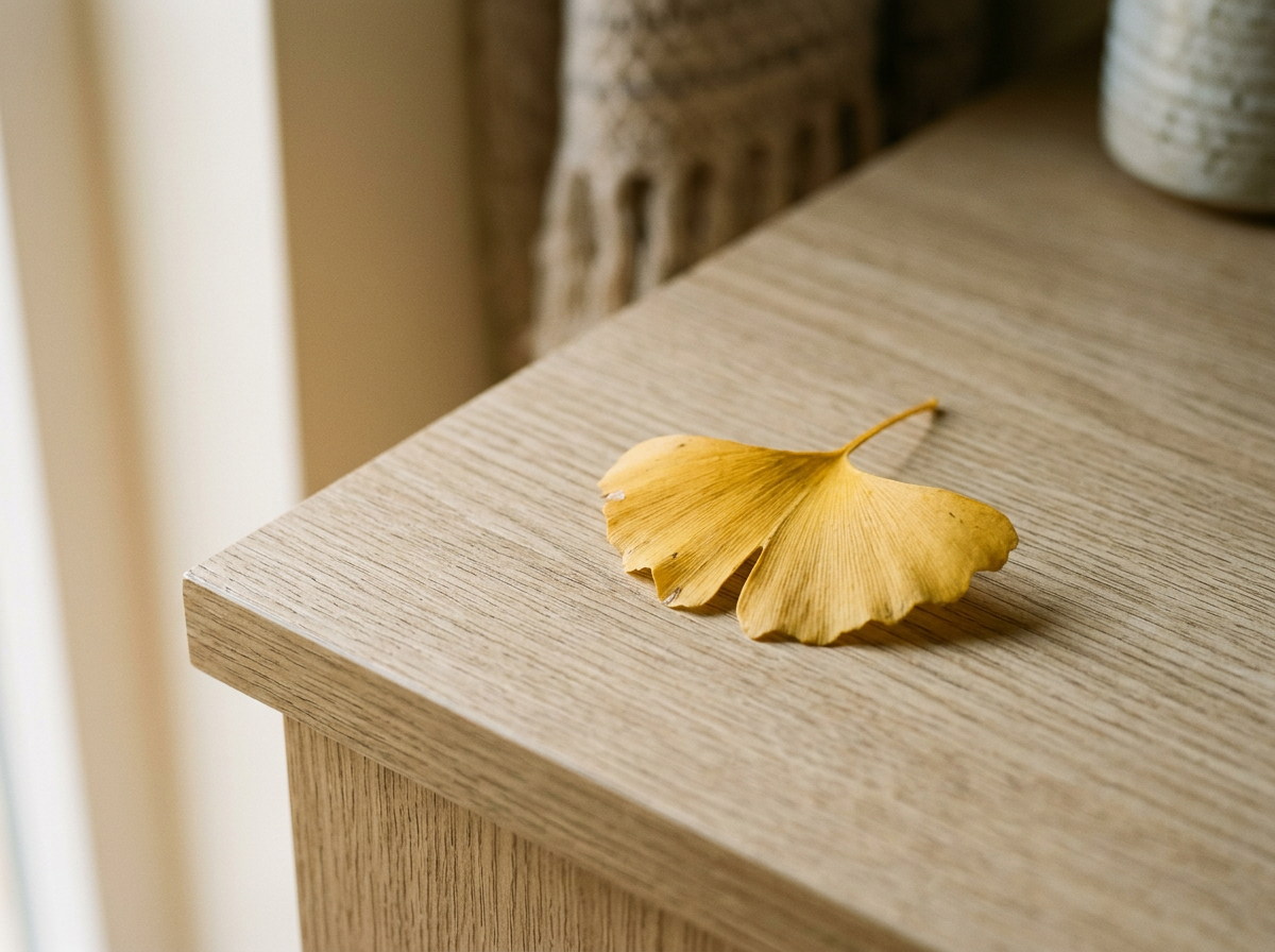 Ginkgo trees symbolize resilience and strength at Resilient Light Counseling in Utah
