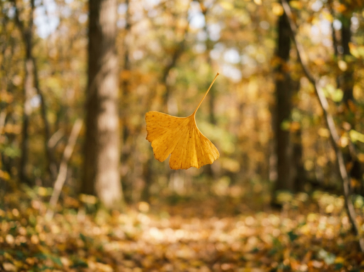 Golden ginkgo leaves falling symbolizing the cycles of grief and loss at Resilient Light Counseling Utah and Idaho