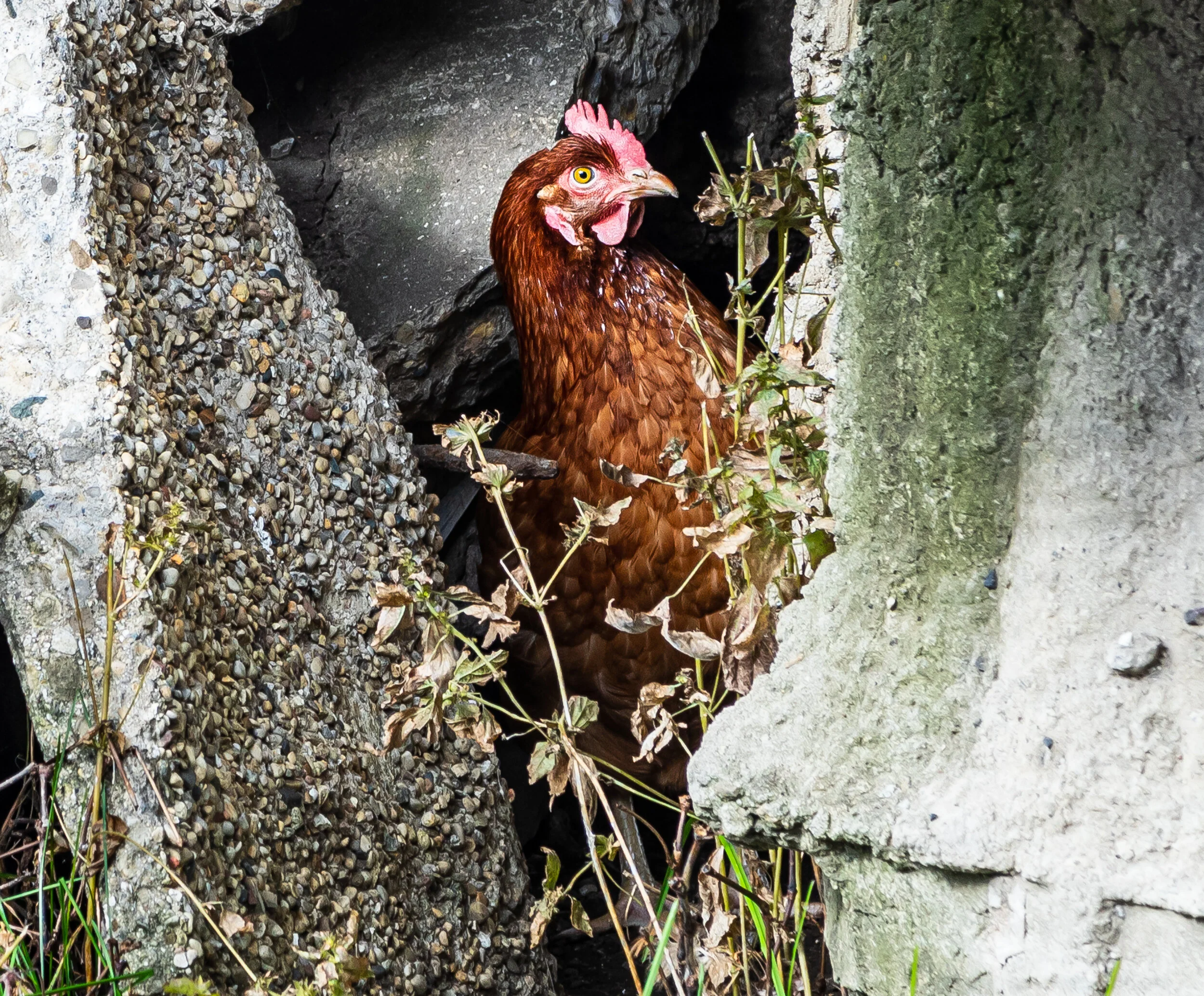 Farm Day Out 2019-2 (7 of 12).jpg