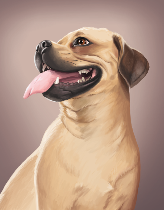 Screen Shot 2020-01-23 at 11.06.30 PM.png