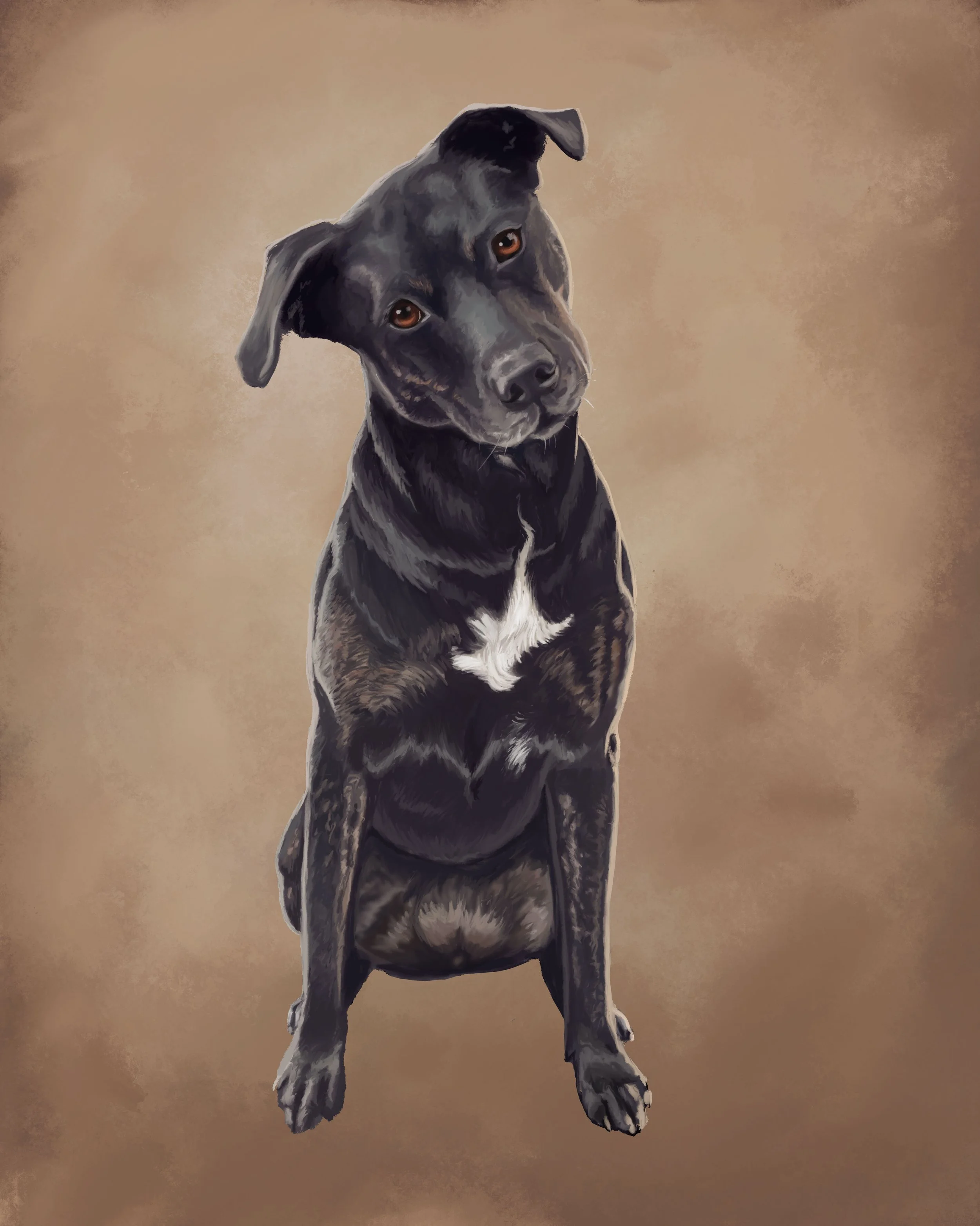 PeralesPetPortraitLilotest4.jpg