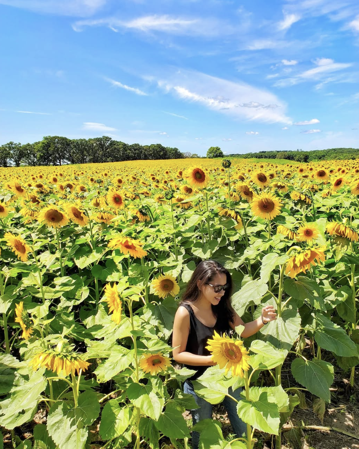 Screenshot 2025-09-06 at 6.16.14 PM.png