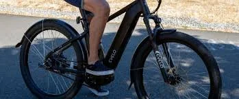 E-bike laws raise civil liberties concerns