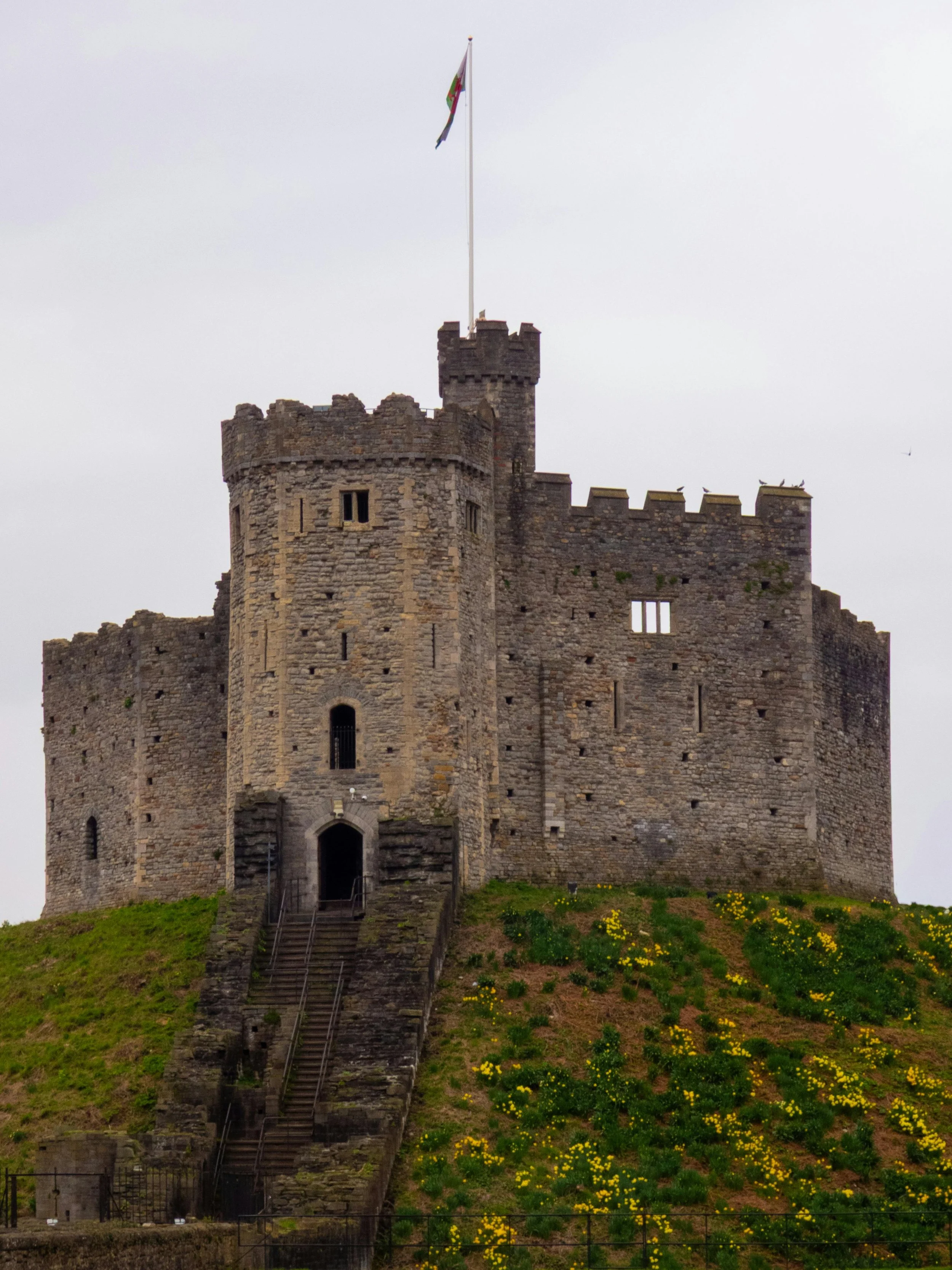 Submission on proposed "Castle" law