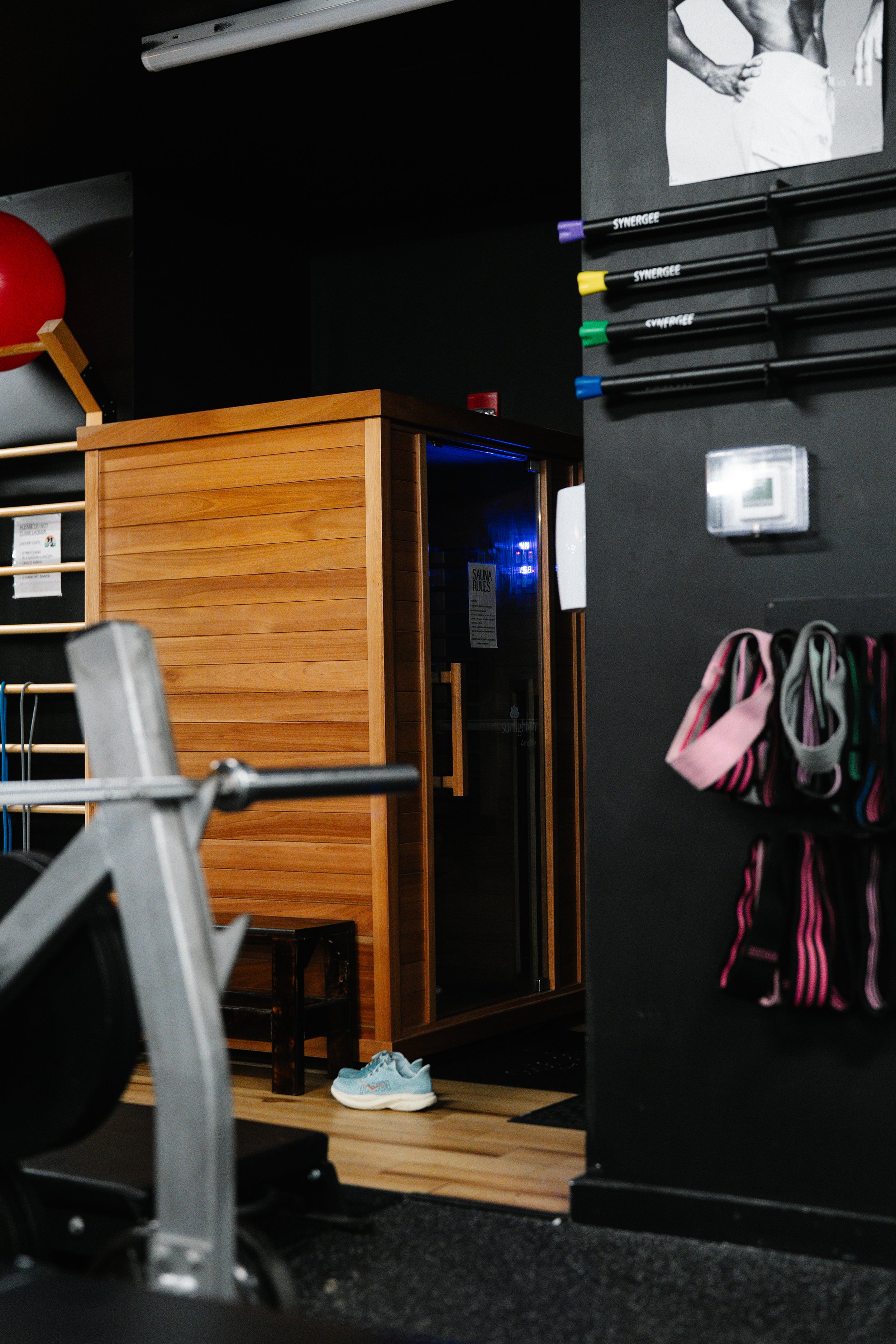 2026-01-05 bullfrog (16 of 45).jpg