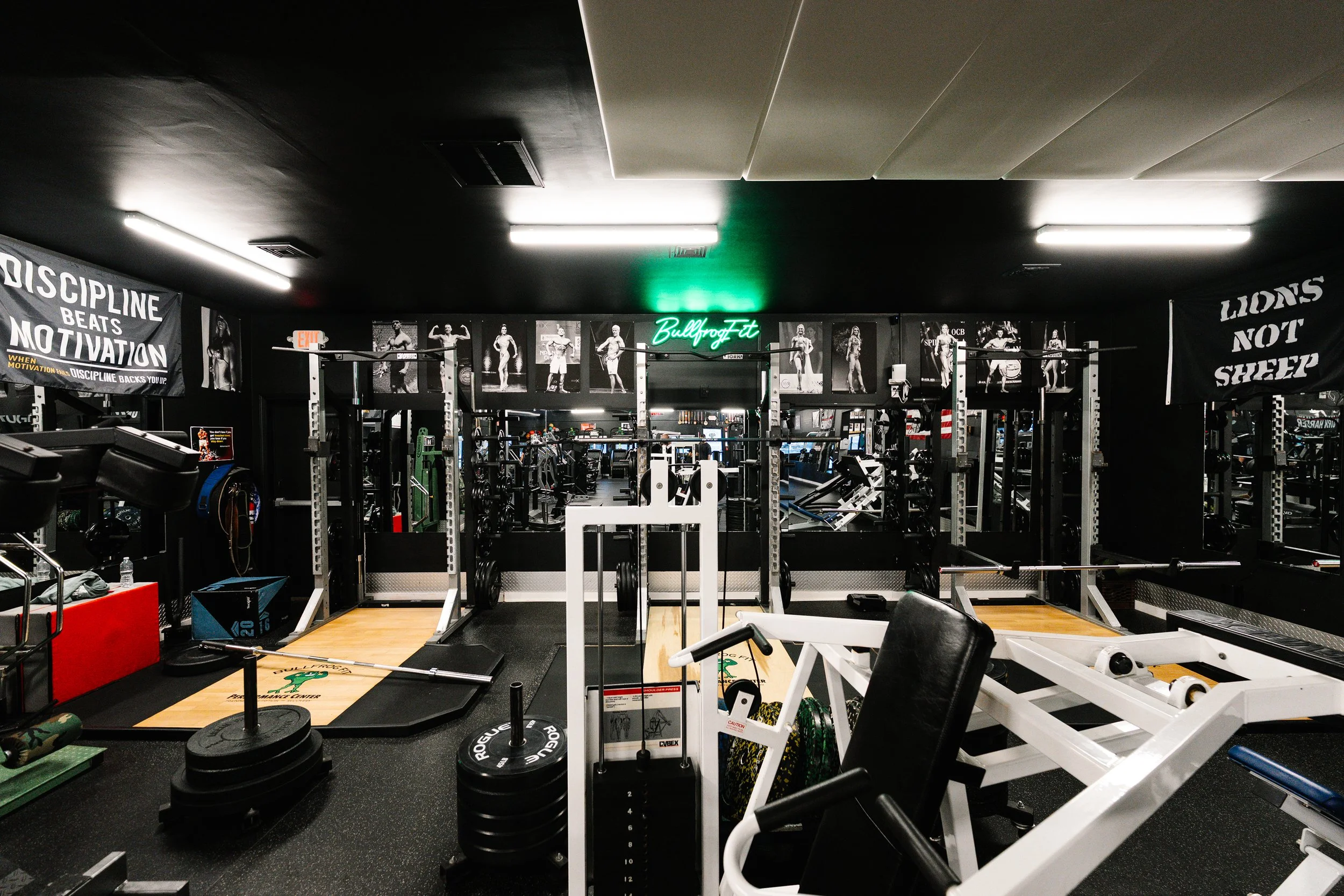 2026-01-05 bullfrog (40 of 45).jpg