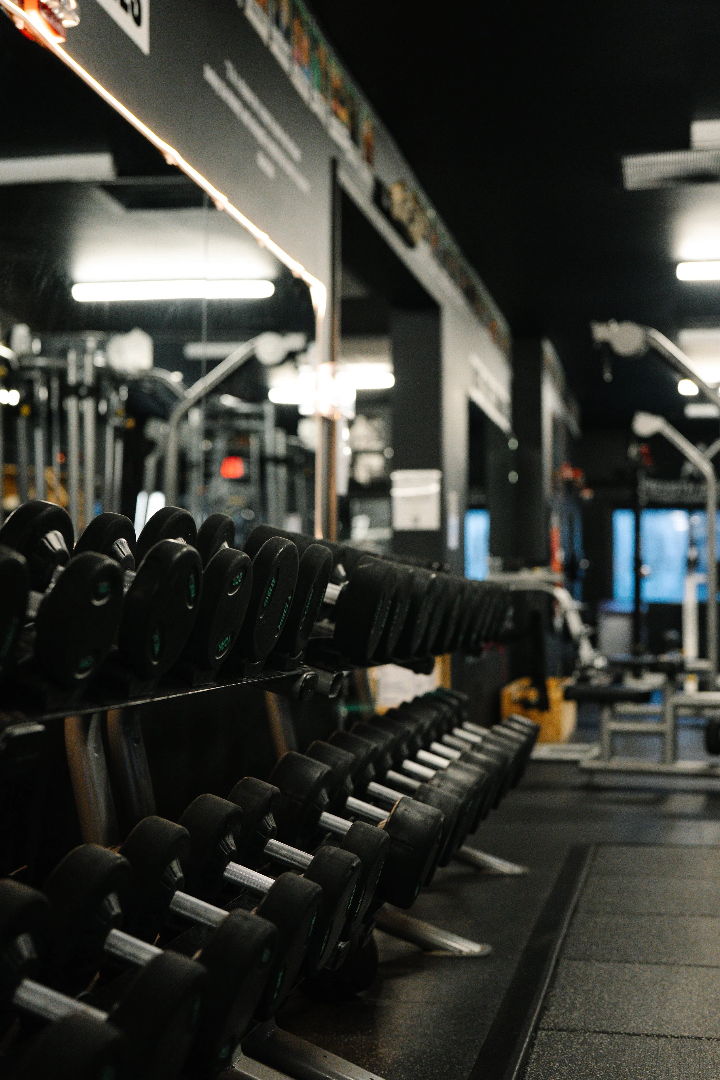 2026-01-05 bullfrog (6 of 45).jpg