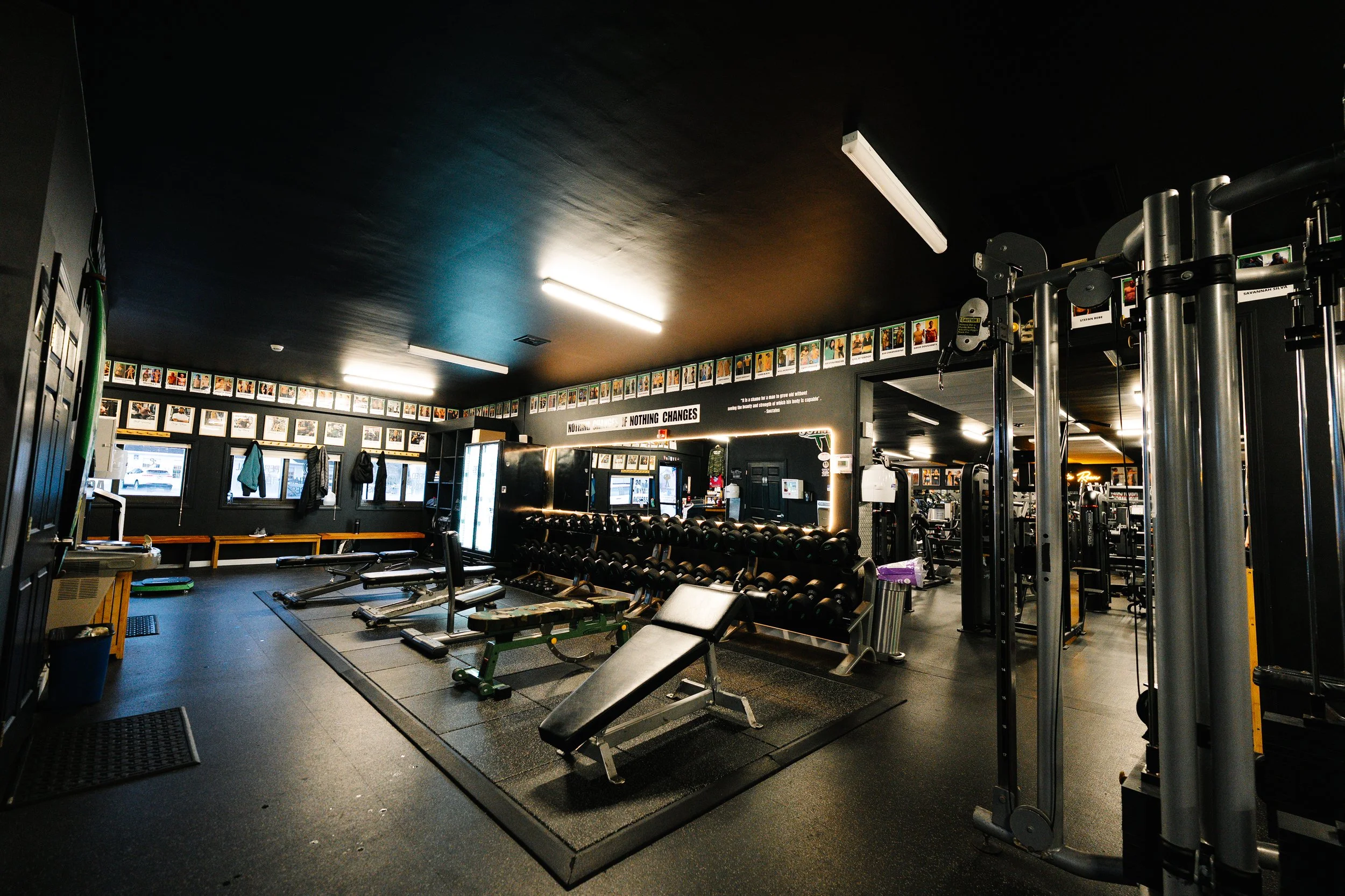 2026-01-05 bullfrog (37 of 45).jpg