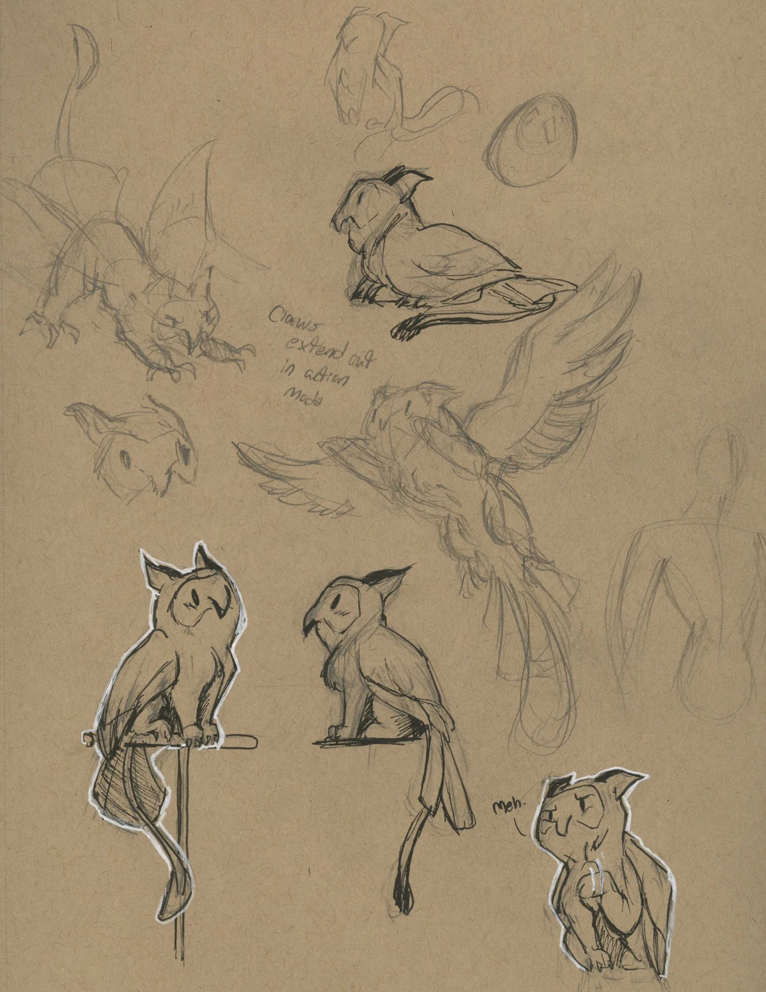 Owlsketches.jpeg