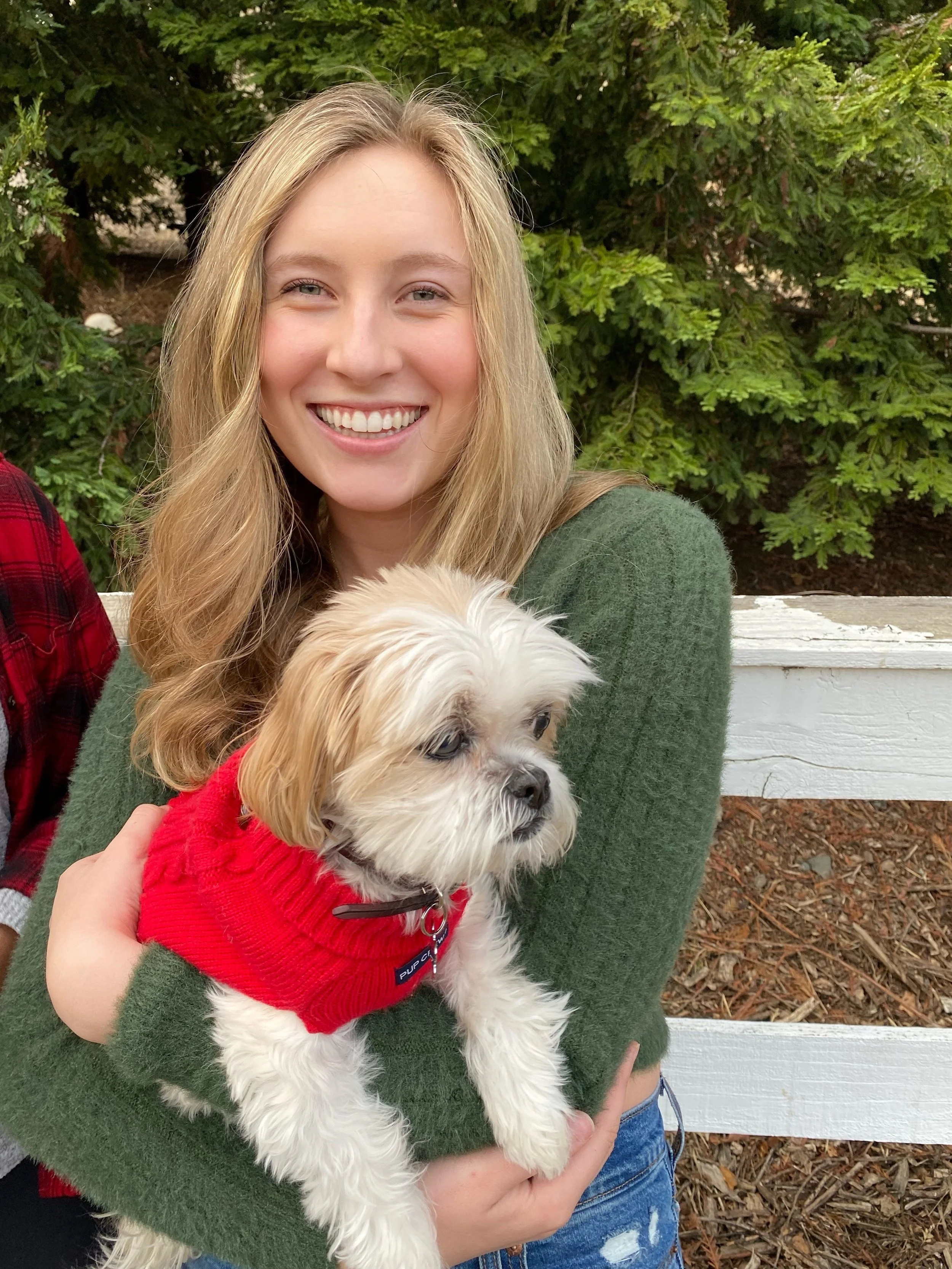 How to Clip Your Dog's Nails Without the Drama — Dog Tired Adventures