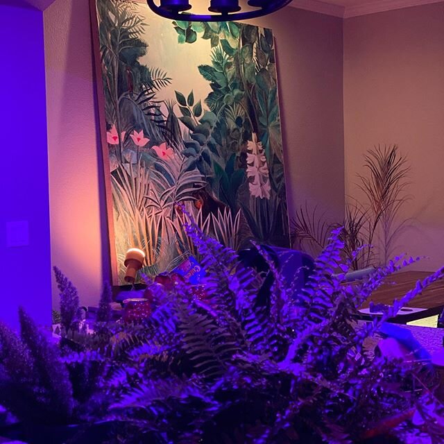 Finally! One step closer to my dream of fostering an Amazon jungle indoors!
Don&rsquo;t even ask how long it took to get that mural backed up on there. My fingers are covered in spray glue and styrofoam but it was more than fucking worth it 😂