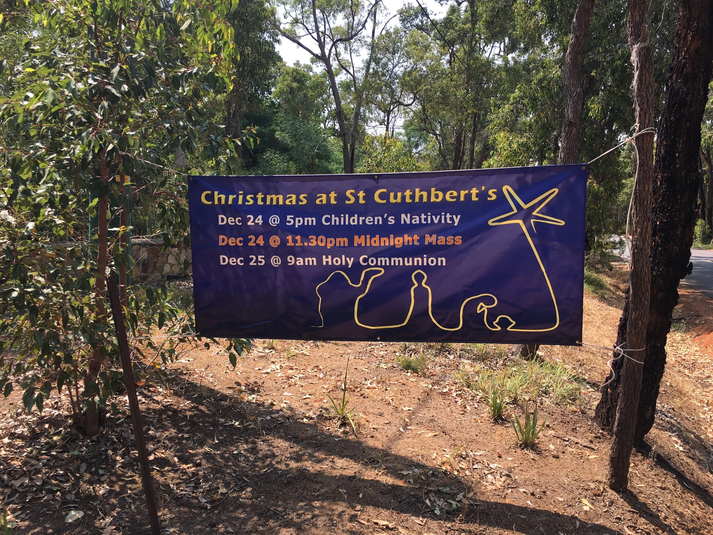 Christmas Newsletter