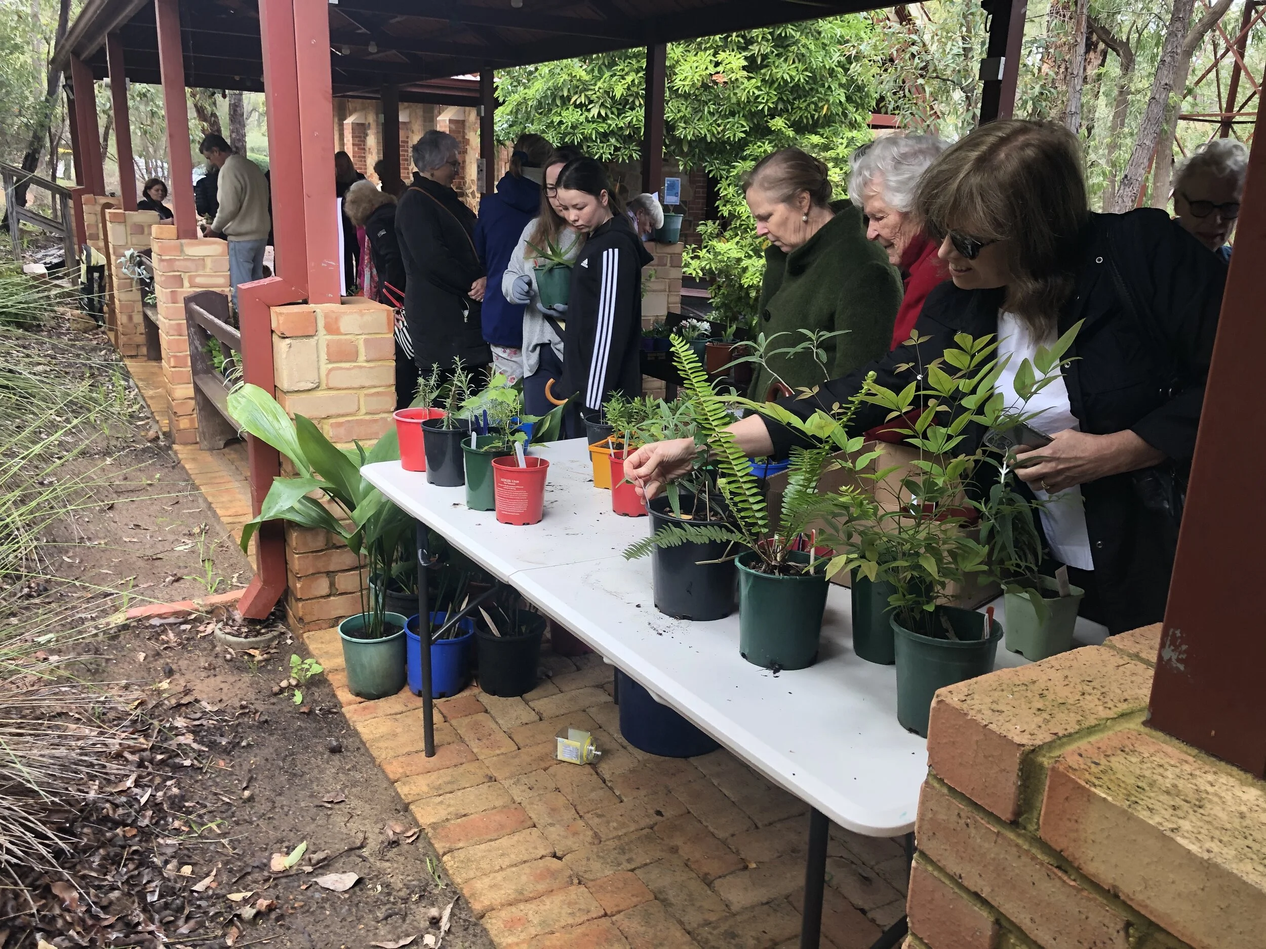 Plant Sale