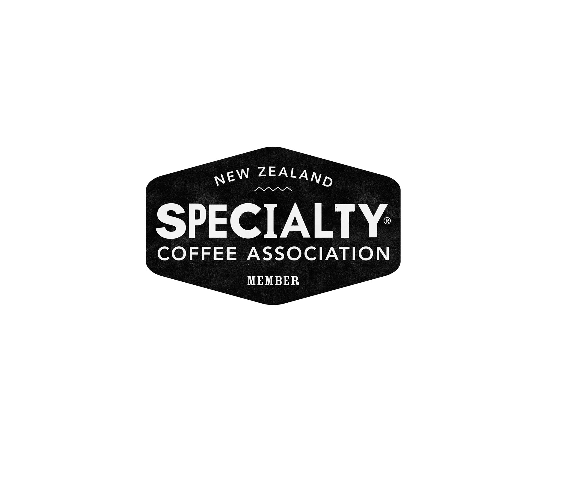 Caffeine Fix Espresso Coffee Machine Repair Christchurch