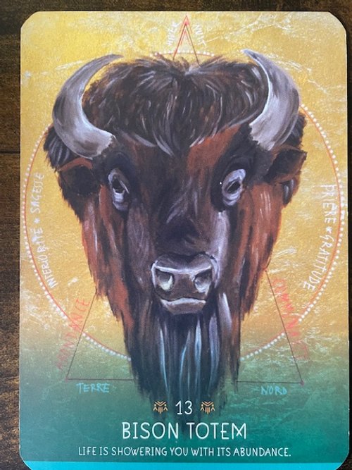 Bison.jpeg