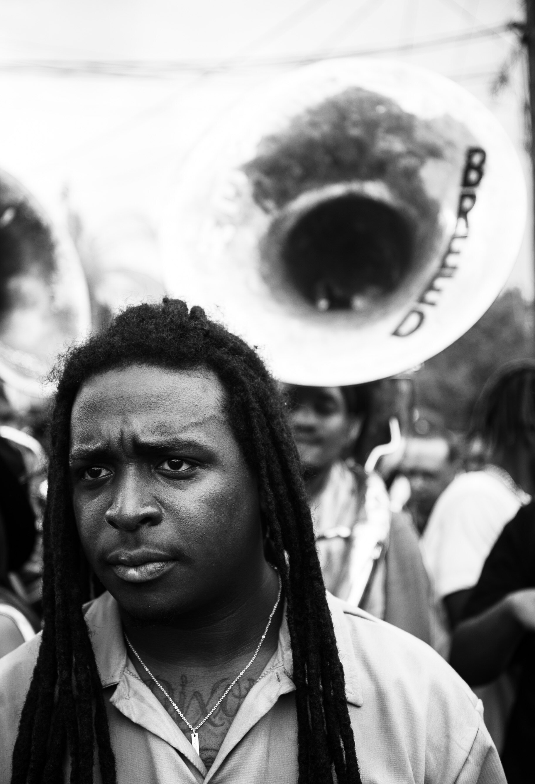 breed (1 of 1).jpg