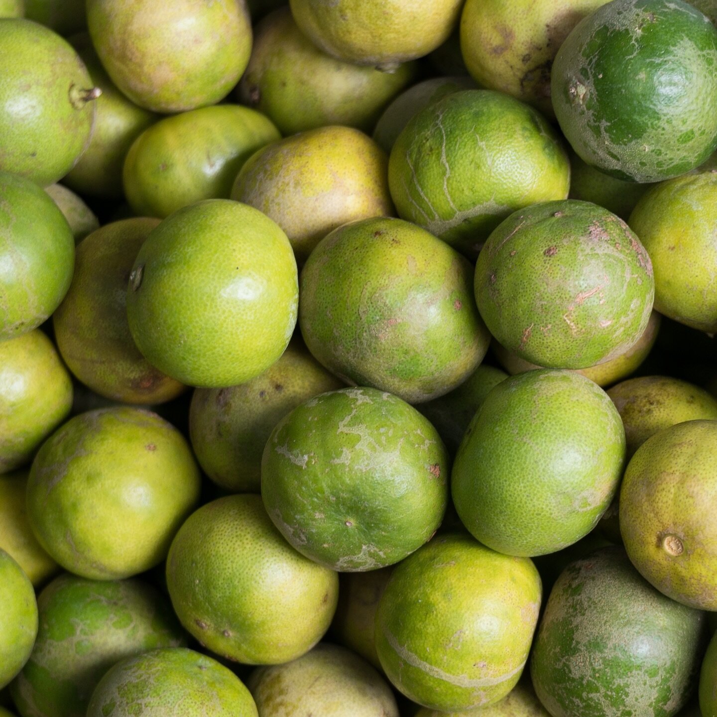 Part of our beautifully balanced liqueur, lime provides bright citrus notes.
