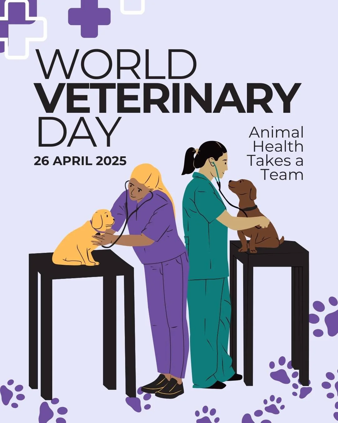 🐾🌟 Celebrating World Veterinary Day! 🌟🐾

This year&rsquo;s theme, "Animal Health Takes a Team", is a reminder that collaboration is the key to ensuring pets live their best lives. 🐕🐾

At The Pet Oncologist, we&rsquo;re proud to be par