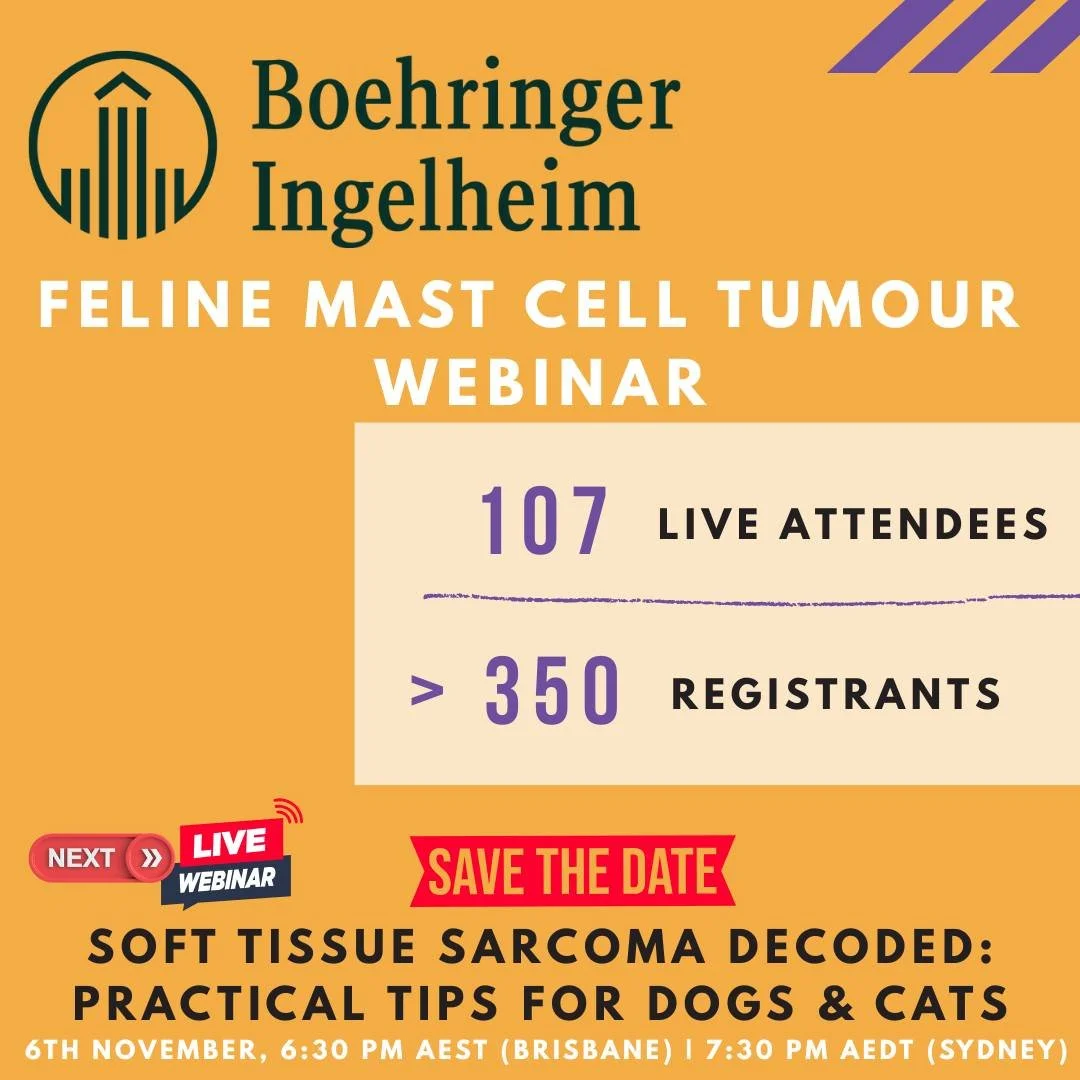 We had an amazing 107 vets join us LIVE for our recent AHA @boehringer_ingelheim webinar on feline mast cell tumours!

Couldn&rsquo;t make it? The replay is now available&mdash;free to register and watch -> http://bit.ly/3GfRtHj

 Save the date: O