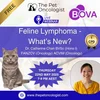Veterinary Body Surface Area (BSA) Calculator for Chemotherapy Dosing ...