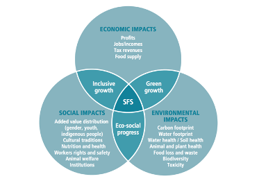 Venn Diagram to show the interactions between social, economic, and environmental required for a Sustainable Food System (SFS) sourced from FAO, 2018.