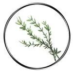 First of Its Kind - A Pan-Asian Online Space for Youth Environmentalists 