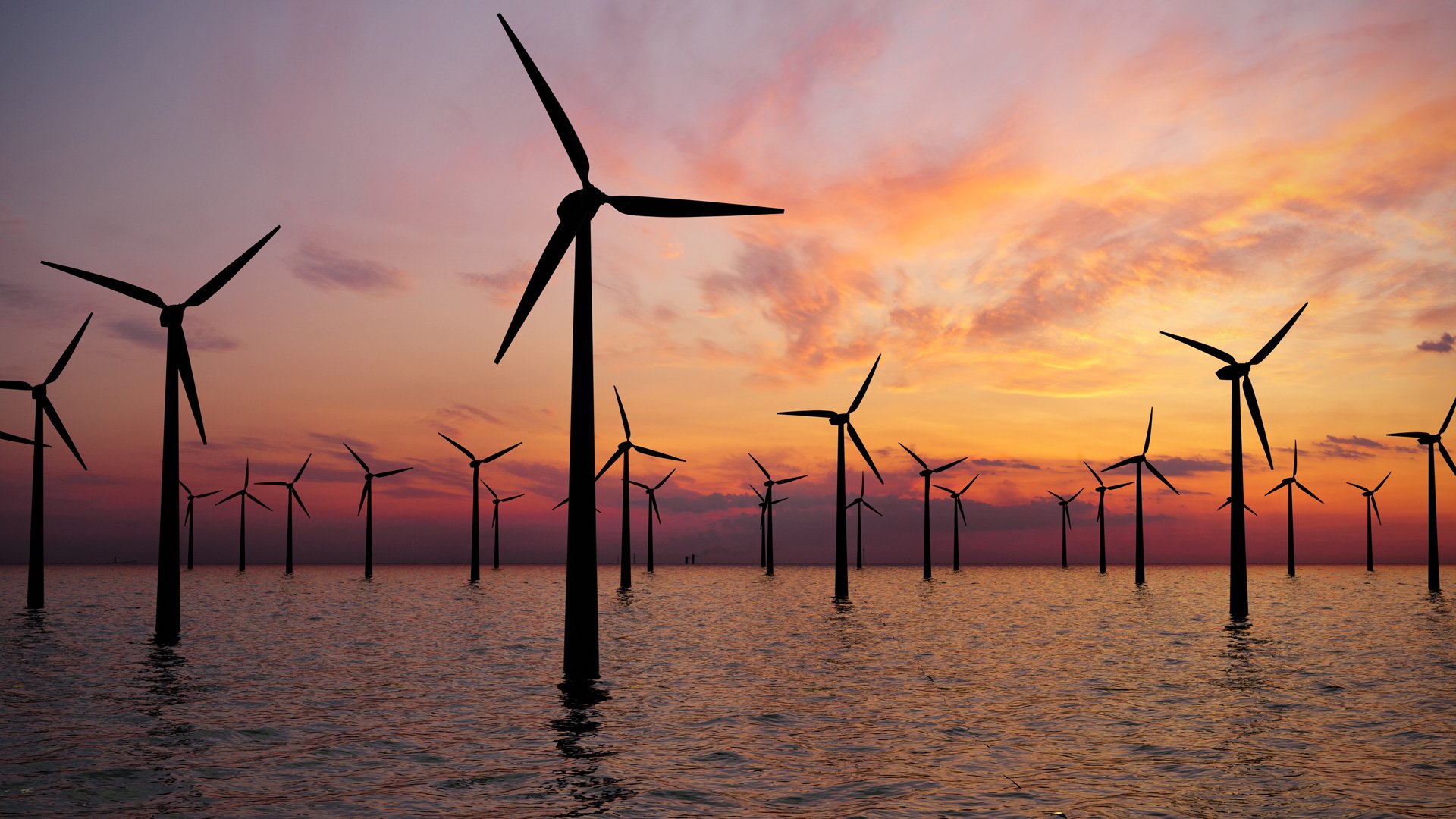 Understanding offshore wind and the integral part it plays in the decarbonisation of the UK’s energy sector