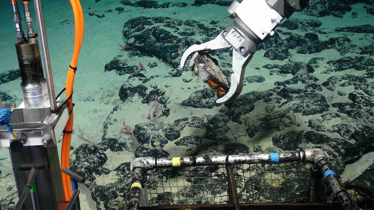 Deep-Sea Mining: A Symptom of a 21st Century Paradox