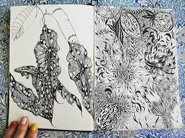 ✍️🌿🌼🌿
#drawing #illustration #patterndesign #surfacepattern #print #textiles #botanicalprint #blackandwhite #nature #ink #muji #mujipens