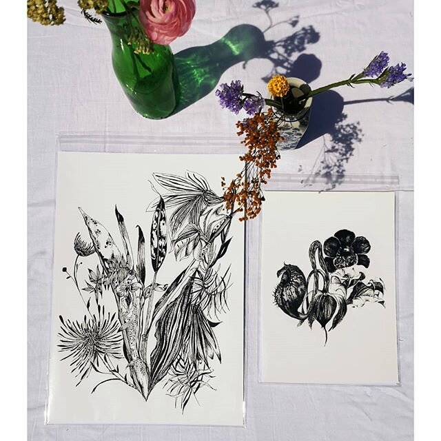 Black and white botanical prints 🌿
#illustration #design #surfacepattern #spring #summer #drawing #botanicalart #textiles #botanicalillustration #wildflowers #floraandfauna
