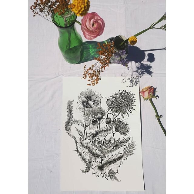 Black and white botanical print, hand drawn using black fine liner pen ✍️ 🌿 print available via my Etsy shop, link in bio or DM me for details 😊 
#botanicalprint #illustration #drawing #wildflowers #spring #summer #creative #keepcreating #patternde