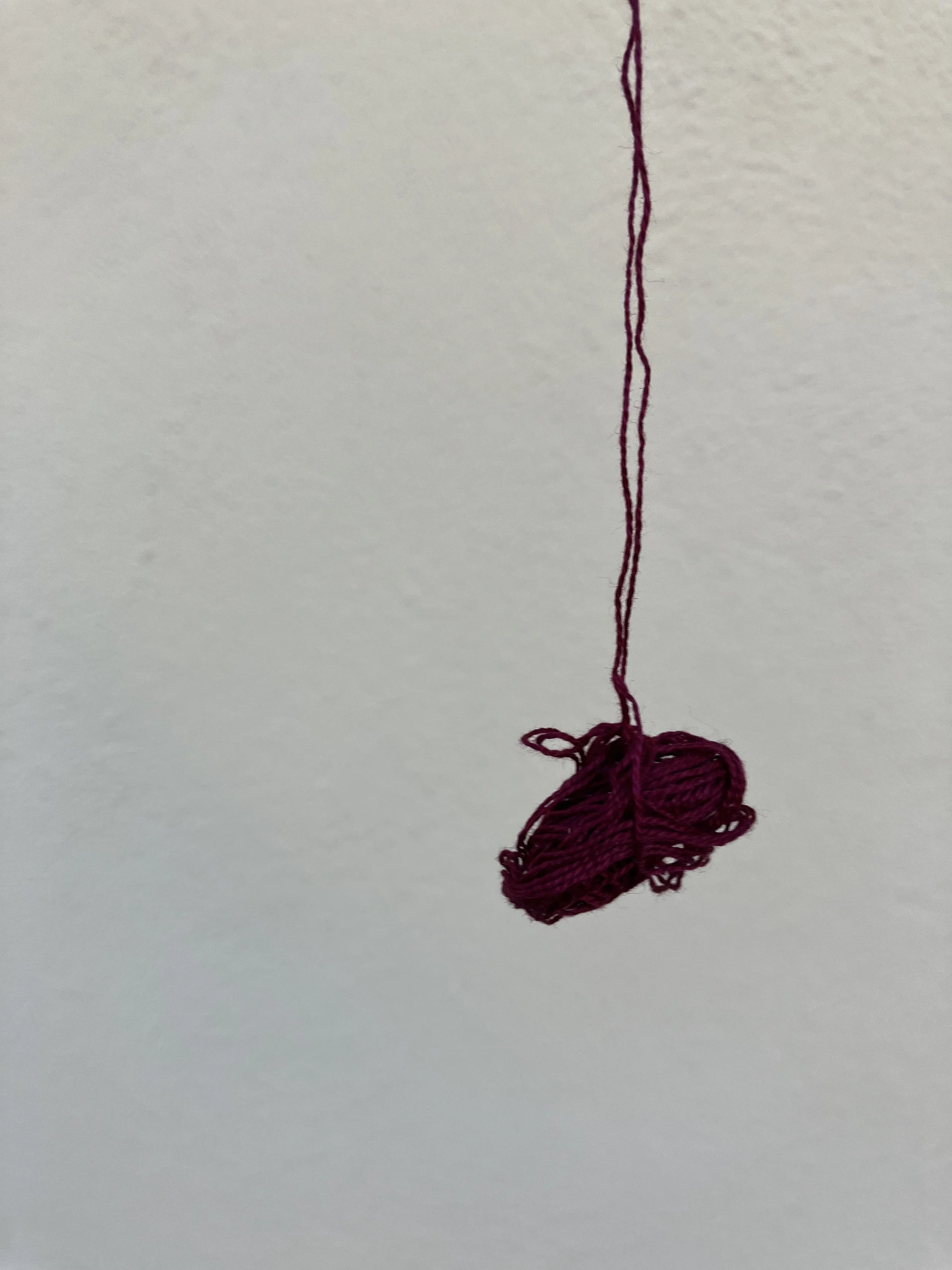 IMG_6854.jpeg