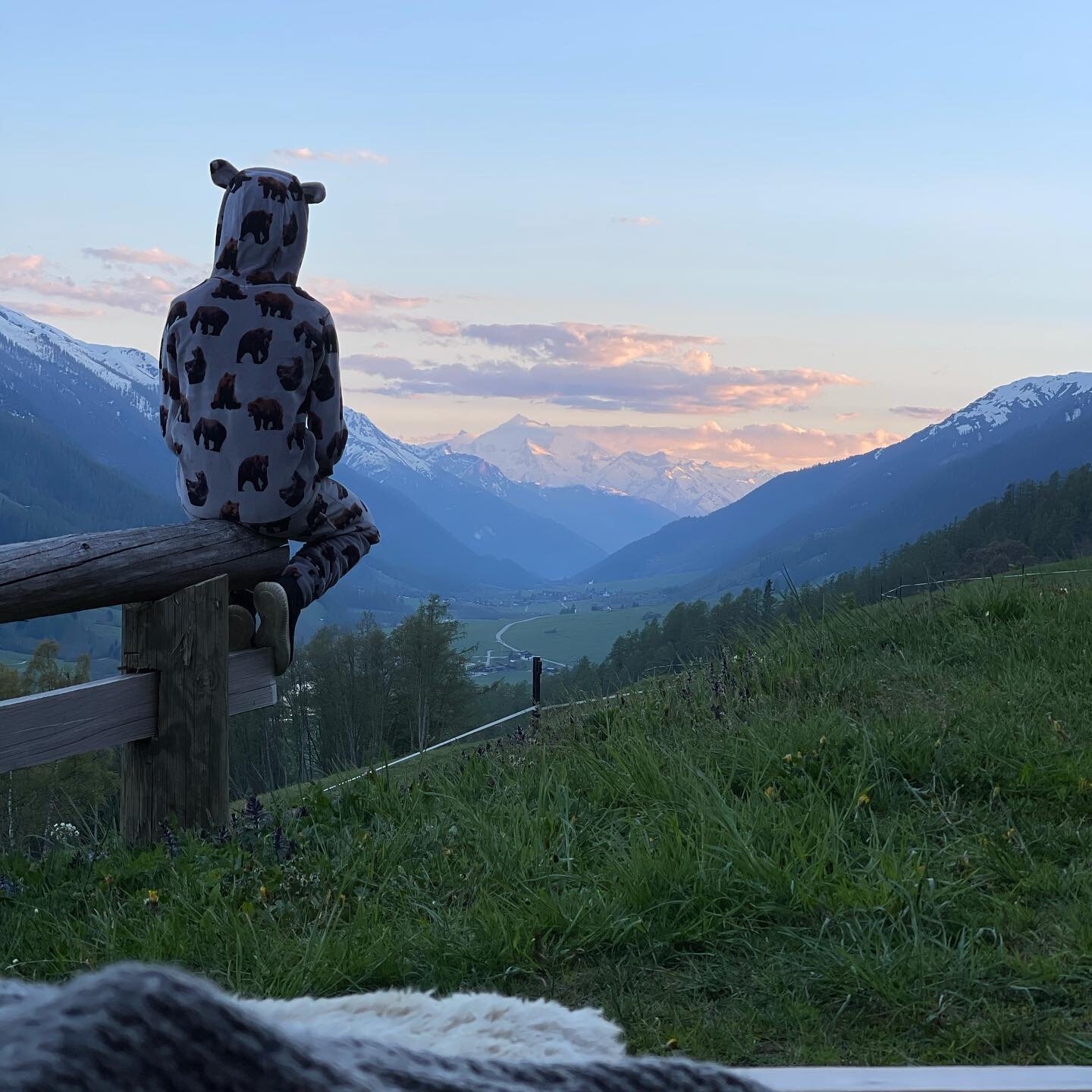 It&rsquo;s beartime 🐻 #bear #glamping #gadestatt #sunset #nature #naturelovers #weekend #weekendvibes #dream #obergomstourismus #obergoms #valais #valaiswallis #myswitzerland #swisstainable #🐻 #🏕 #🇨🇭