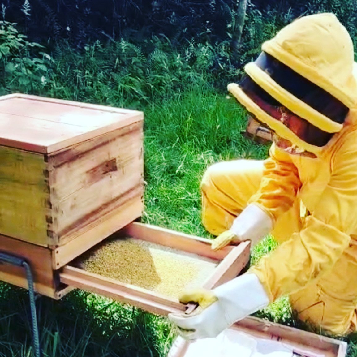 Felices fiestas para todos!!!
de aqui en adelante cada dia mas luz y mas d&iacute;a!!! esperamos en 2026 seguir compartiendo musica que inspire y alegre los corazones!!🌵🌿🍄