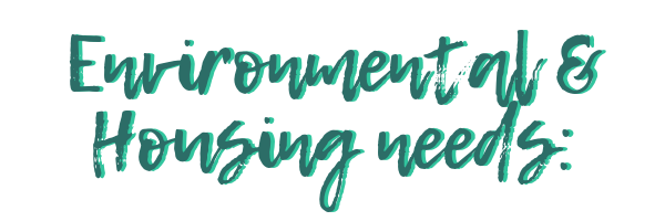 M Accounting Inc. (8).png