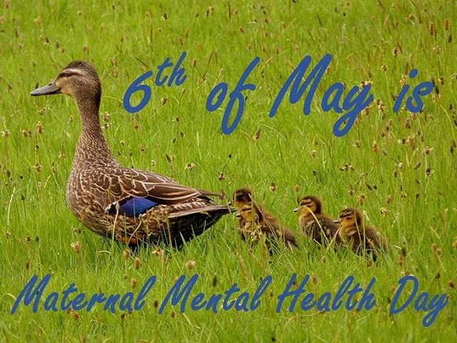 It&rsquo;s almost Mother&rsquo;s Day in South Africa, and today is Maternal Mental Health Day 💚 so we have written a blog on this special topic! Have a look! 🤱🏽https://www.earlybirdtherapy.co.za/blog link in bio
