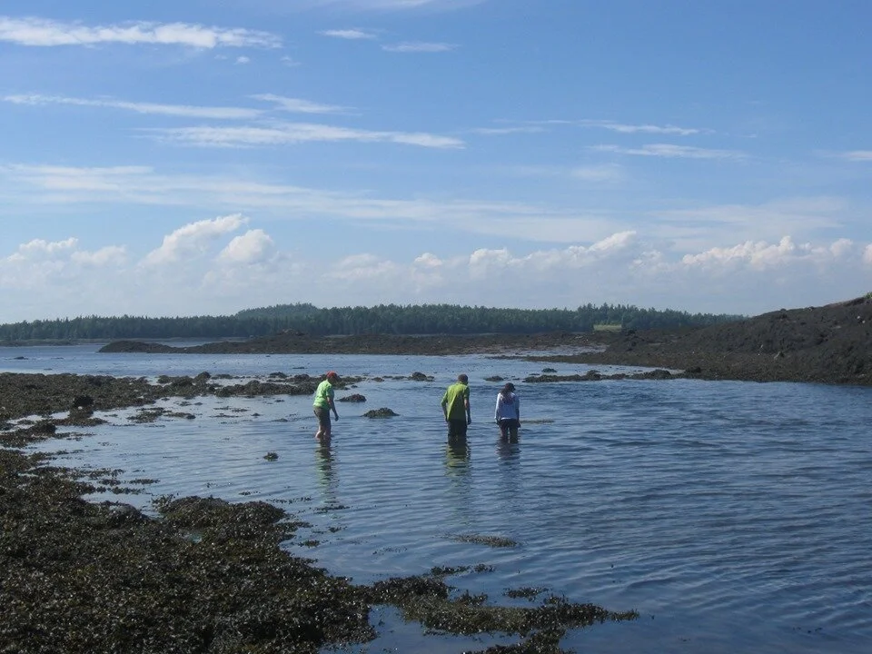deep tide pooling.jpg