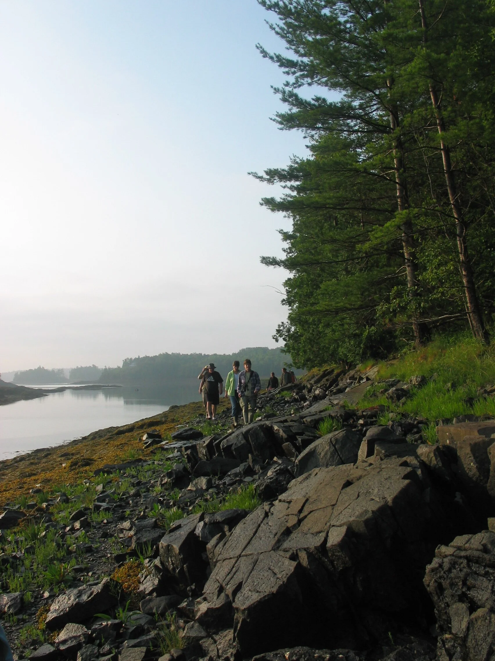 Cobscook Bay.JPG