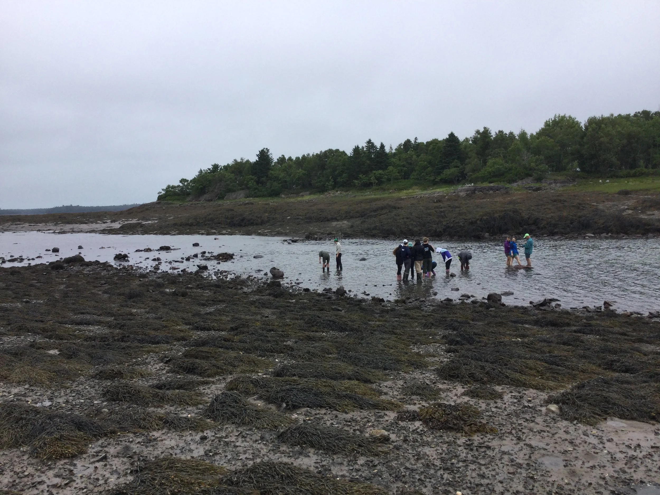 school group tidepooling.JPG