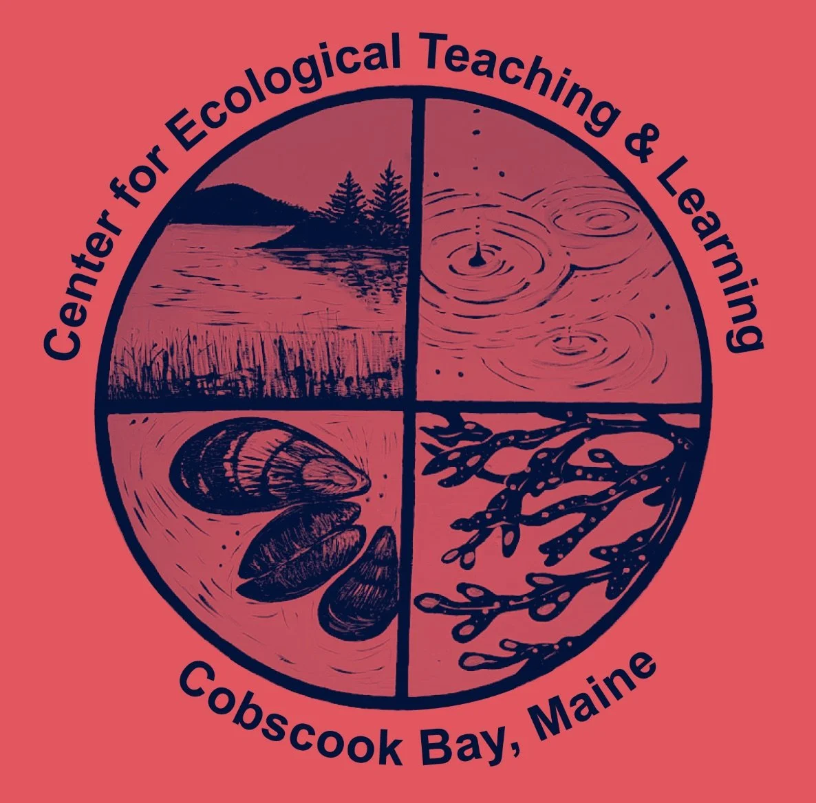 t-shirt logo.jpg