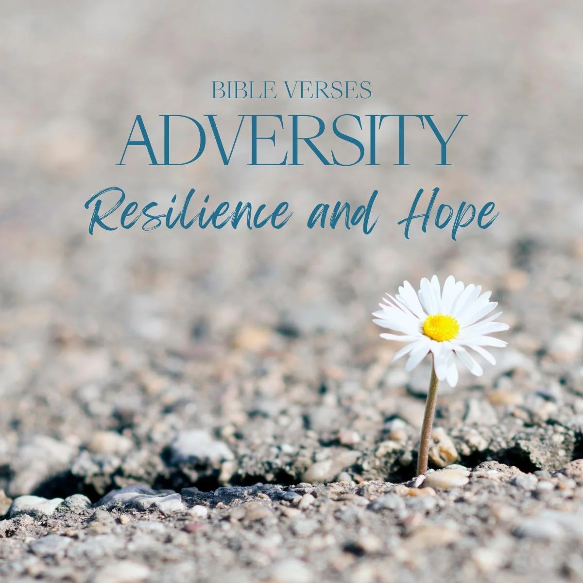 28 Uplifting Bible Verses About Adversity (With Commentary)