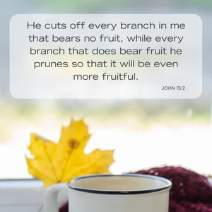 30 Bible Verses About Change (With Commentary)