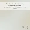 40 Bible Verses About Discernment And Wisdom