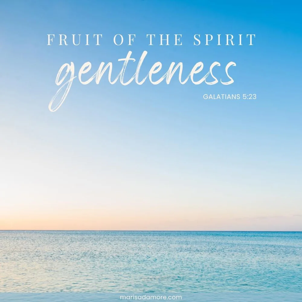 The Fruit of the Spirit Gentleness