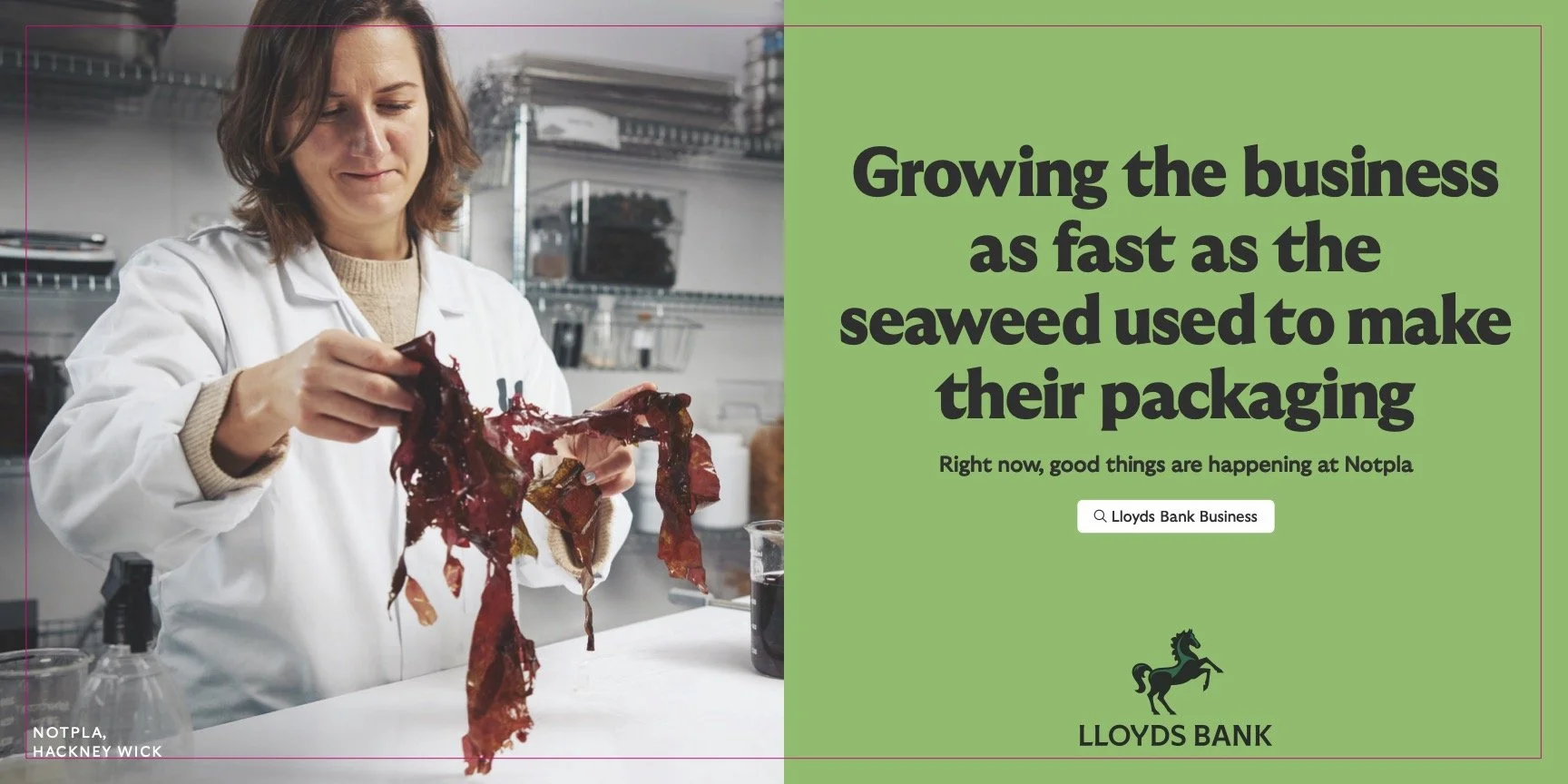 LLOYDS BANK x NOTPLA